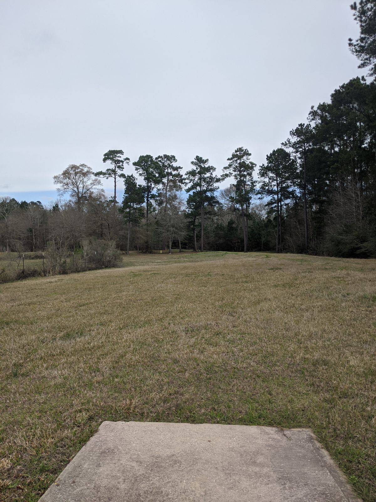 Hole 13 Short Tee