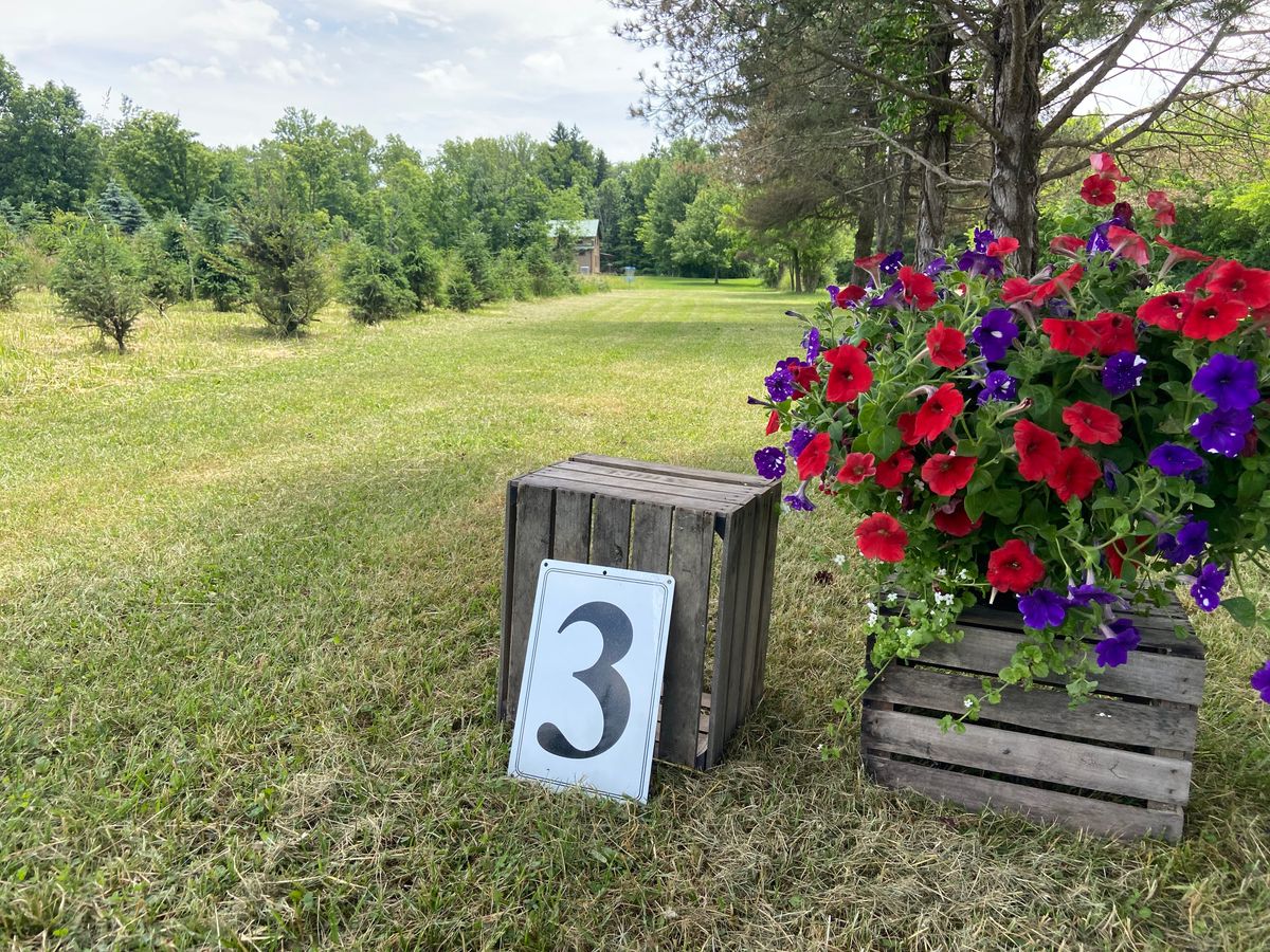 Hole 3