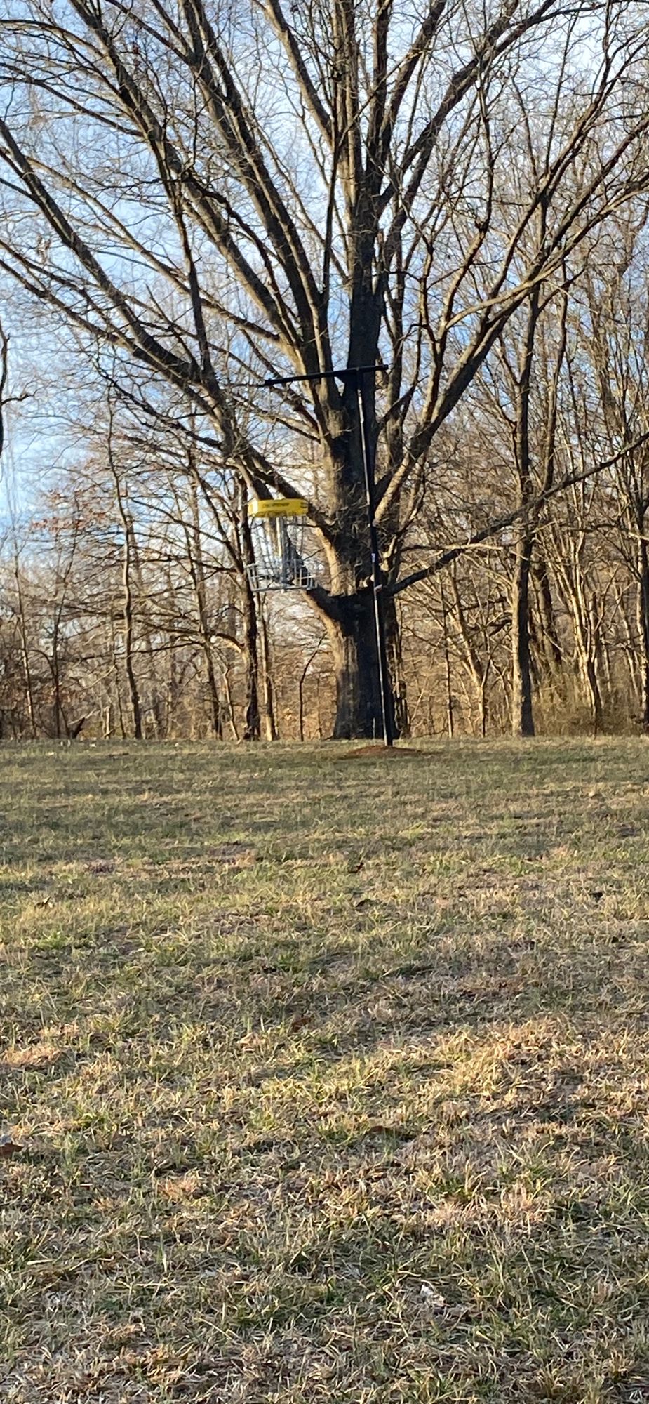 hanging basket on 17