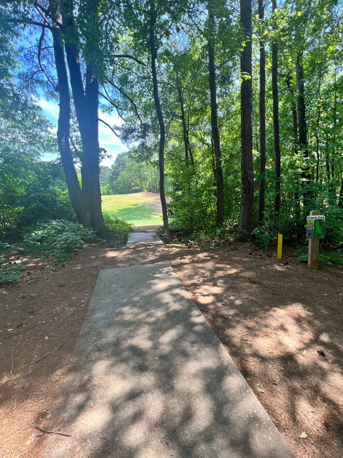 Hole 4