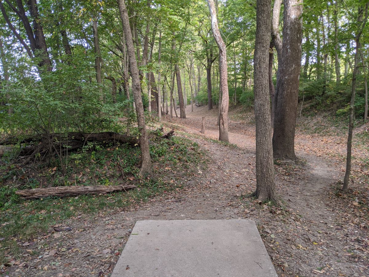 Hole 8