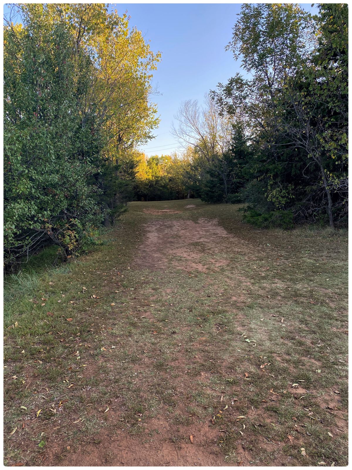 #6 Tee - Throwing north