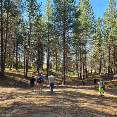 Doing the walkthrough.