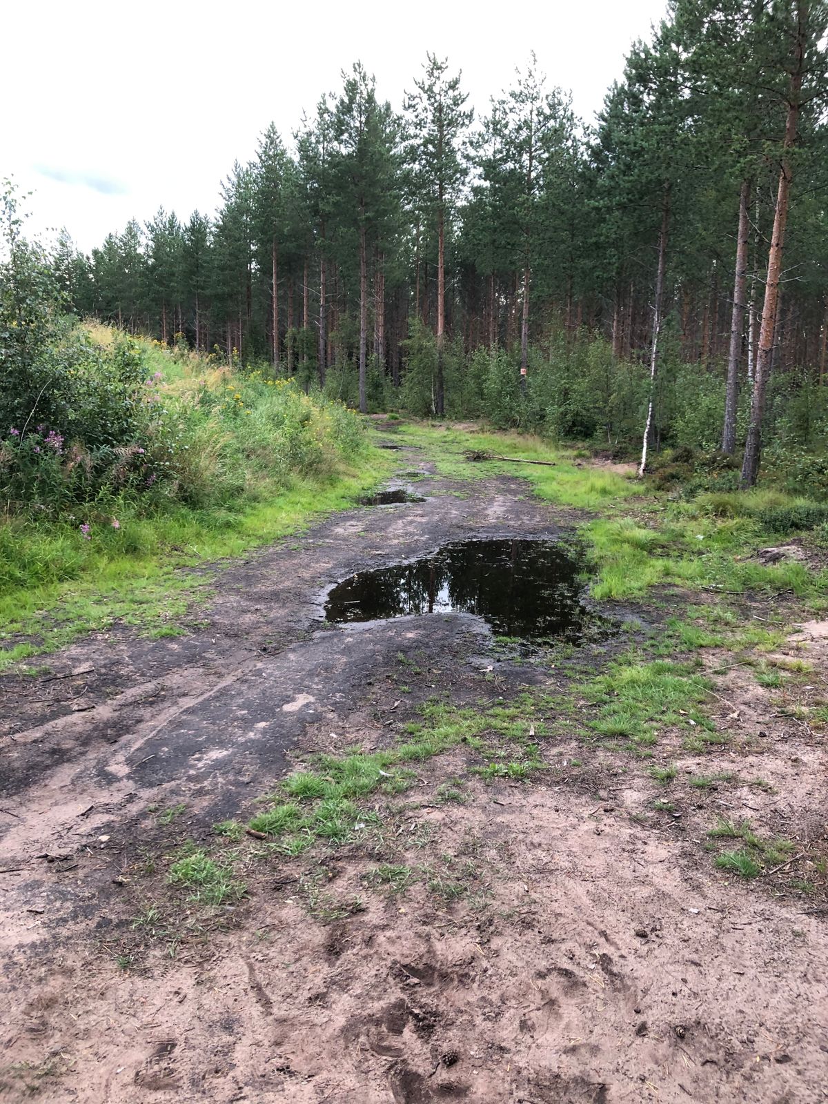 Väylä 1.