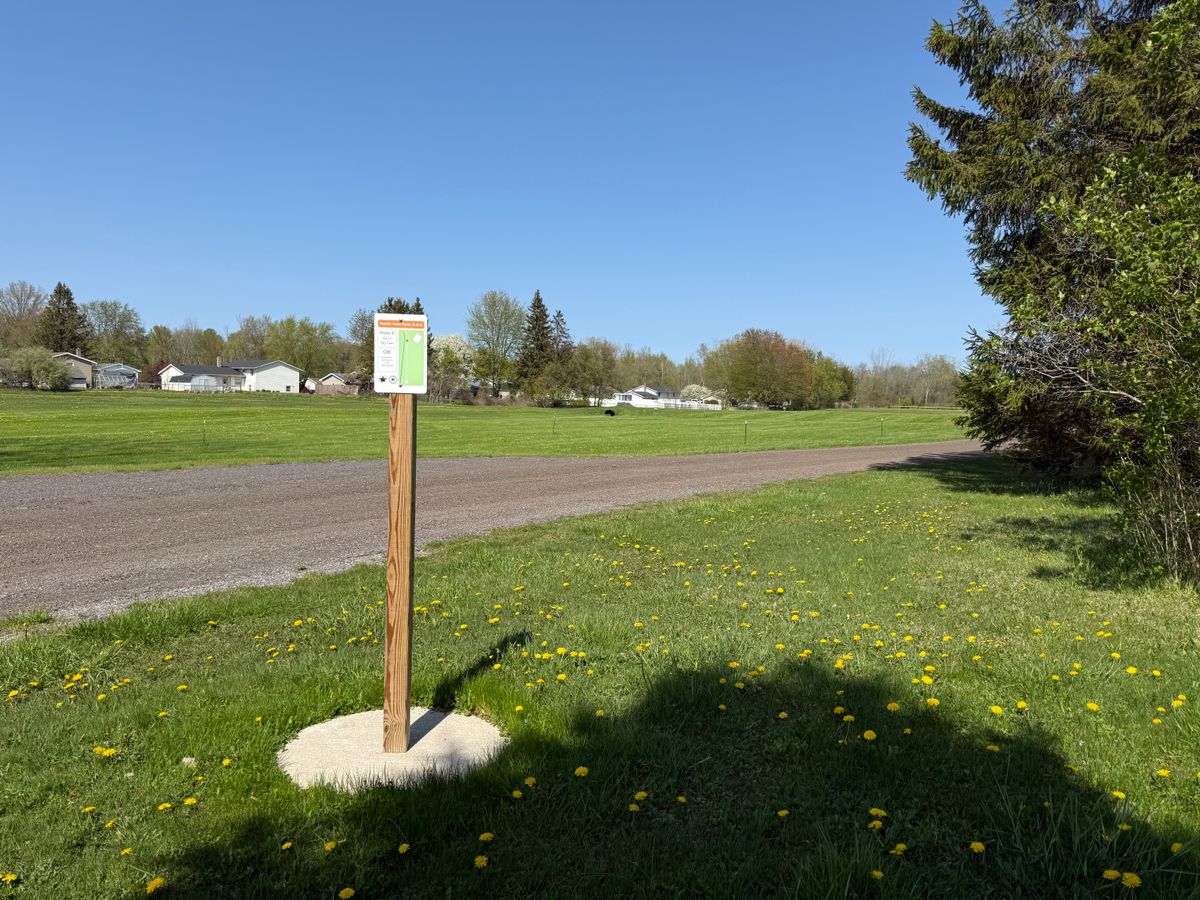 Hole 6 Tee