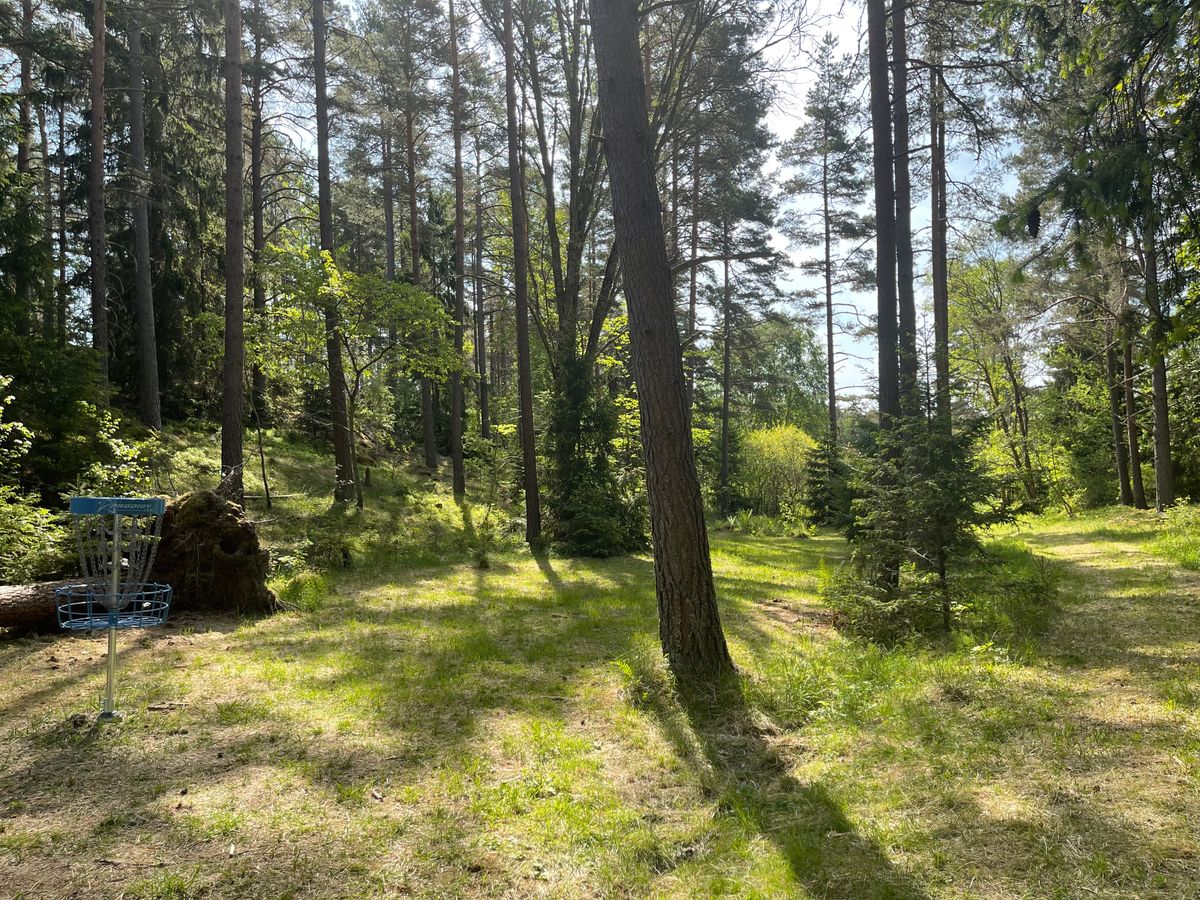 Hole 8