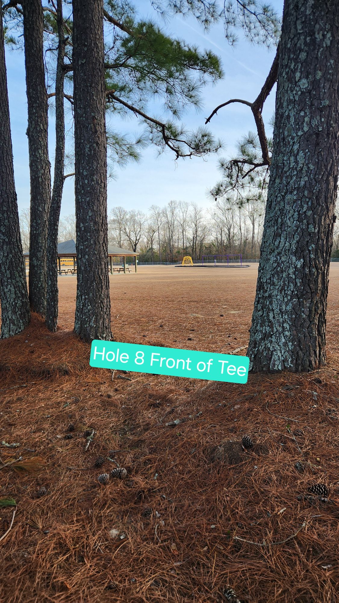 Hole 8

OB if surrounded by pavement or if disc lands in Pavillion or playground. 

Mando right of Pavillion and left around playground.