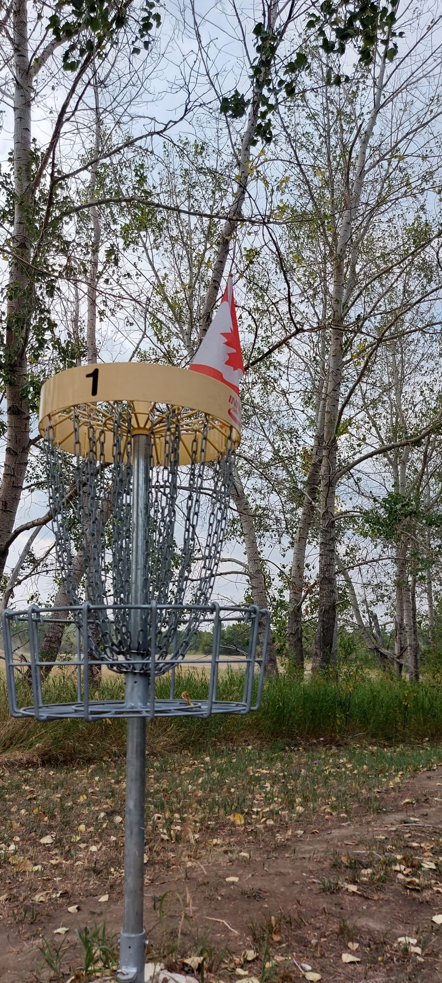 Putting on hole 1 ☘🍀☘🍀☘