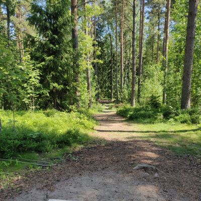 Väylä 9, pelkää suoraa tiukalla pelivaralla