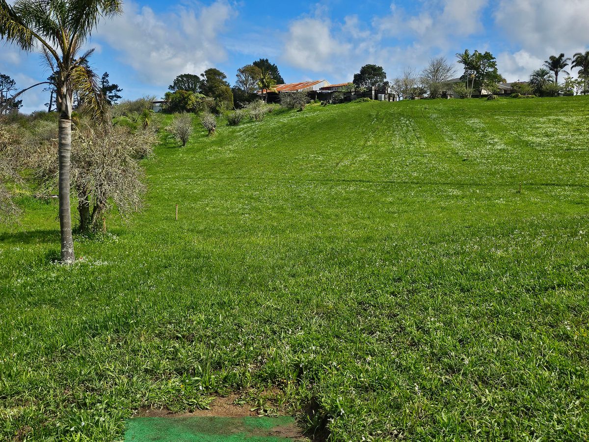 View from long and short tee for hole 2