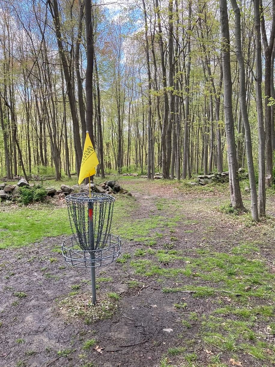 View from Hole 17 basket back up fairway