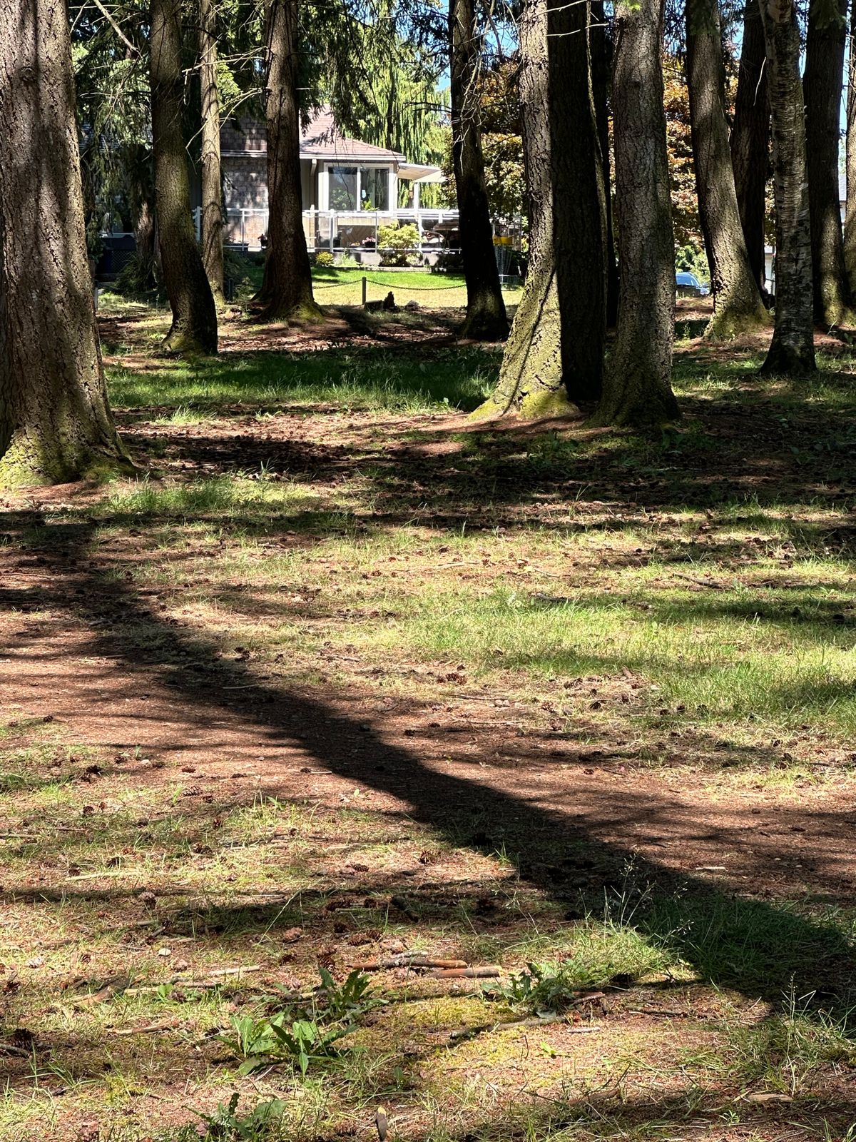Hole #3