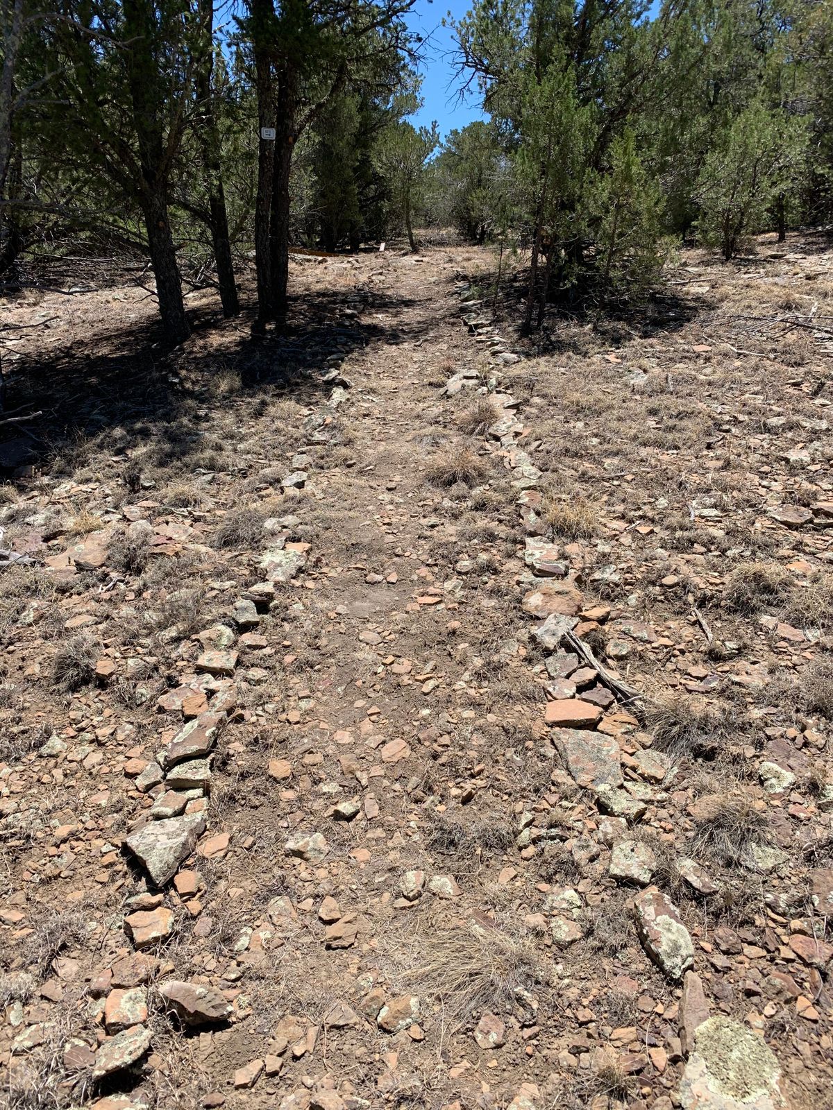 Example of attention to detail, obvious routes to next hole