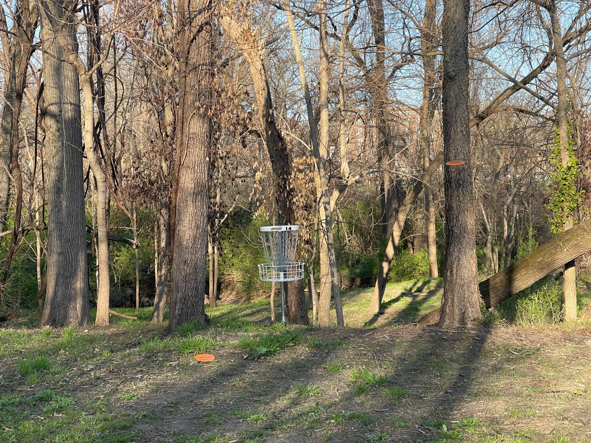 Deceptive basket location on hole 14
