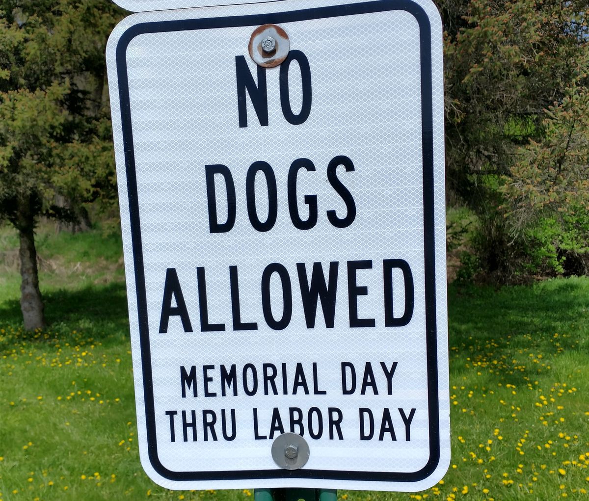 Bringing a dog anyway? Please, pick up after the pooch. Most people like dogs. Everybody hates poop.