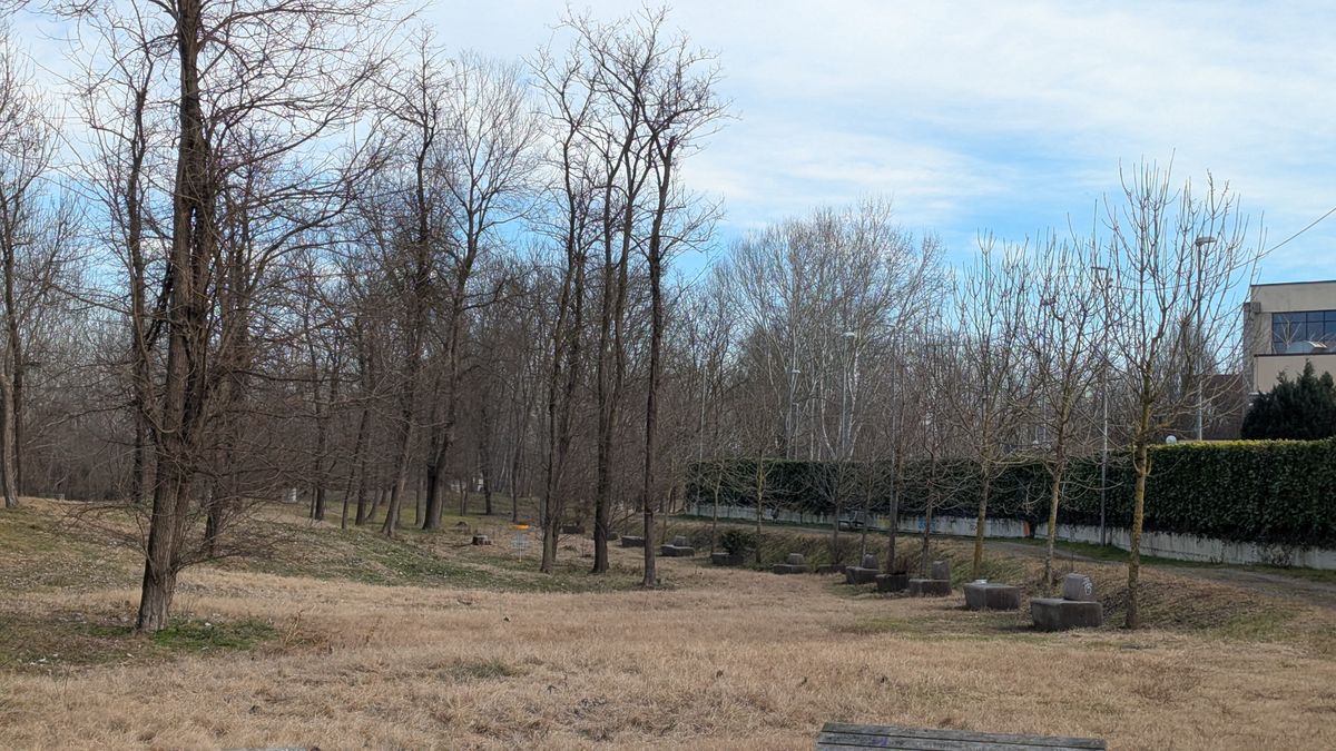 Hole 1 in the distance. The first tree in the middle is a mando to it's right