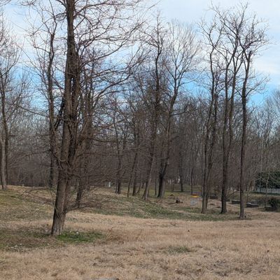 Hole 1 in the distance. The first tree in the middle is a mando to it's right