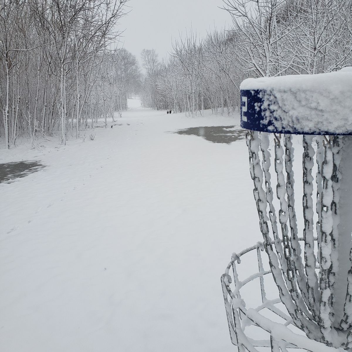 Looking back down the tunnel on #2