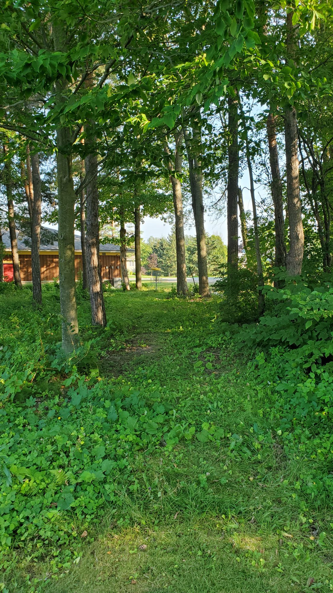 Hole 5