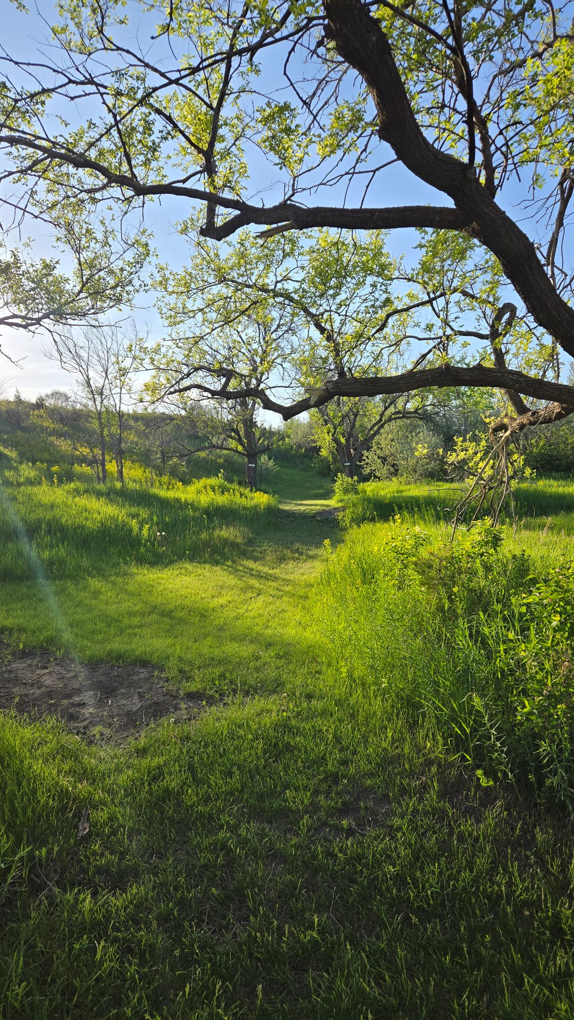 Hole 4, double Mando hole