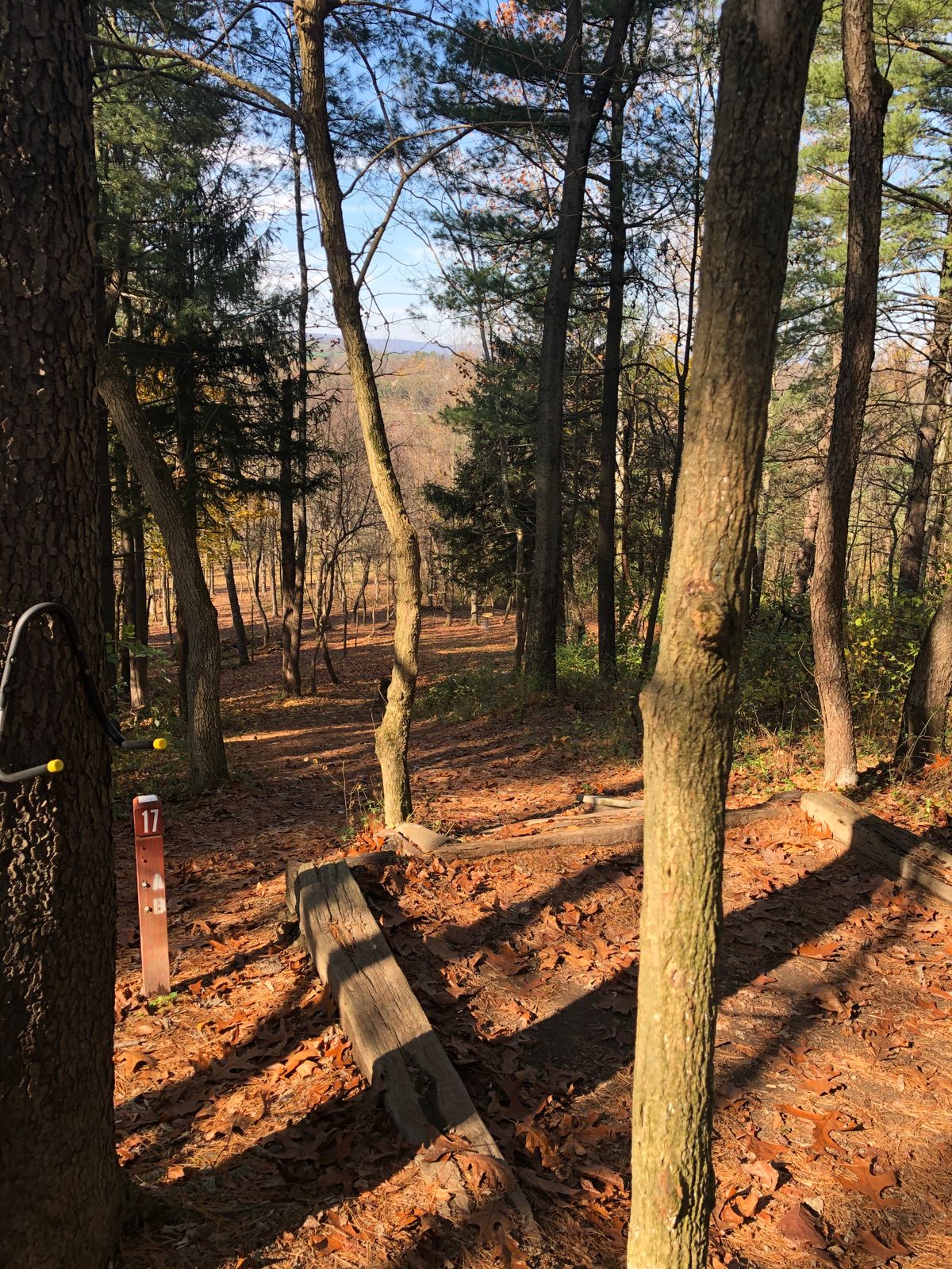 Hole 17