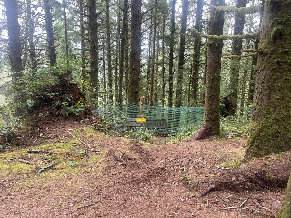 Hole #8 B position