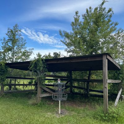 hole 10 basket
