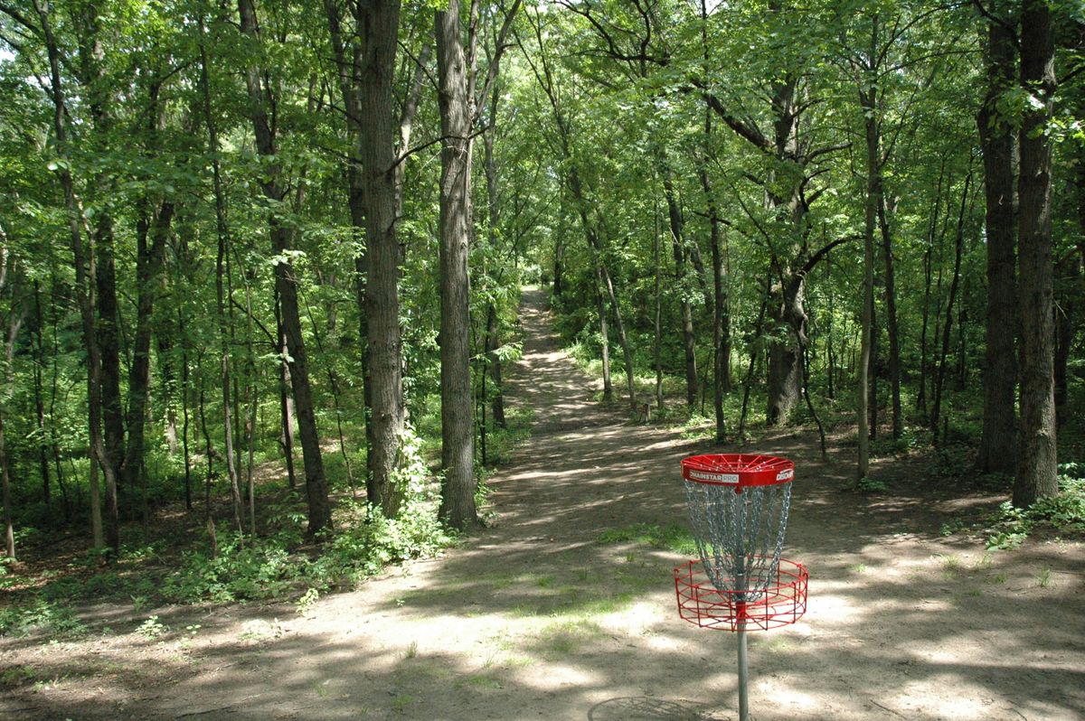 Hole 7 basket looking back at tee pad.