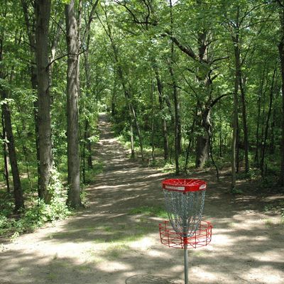 Hole 7 basket looking back at tee pad.