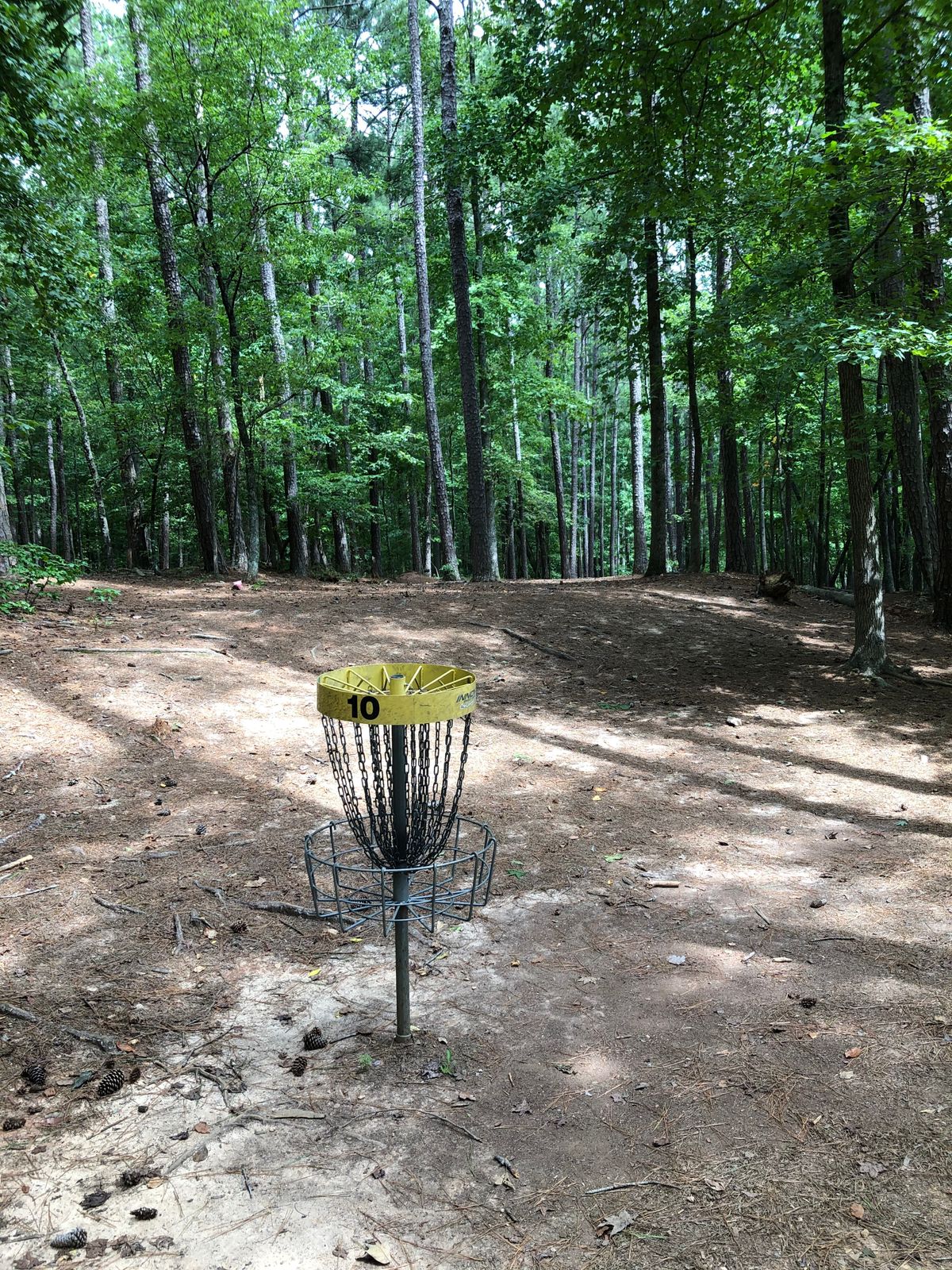 basket on 10 looking back toward tees