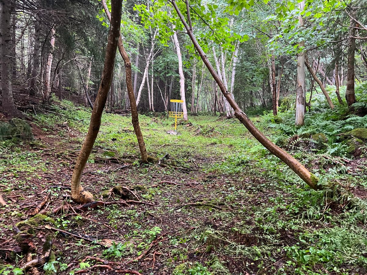 Hole 13 Fairway