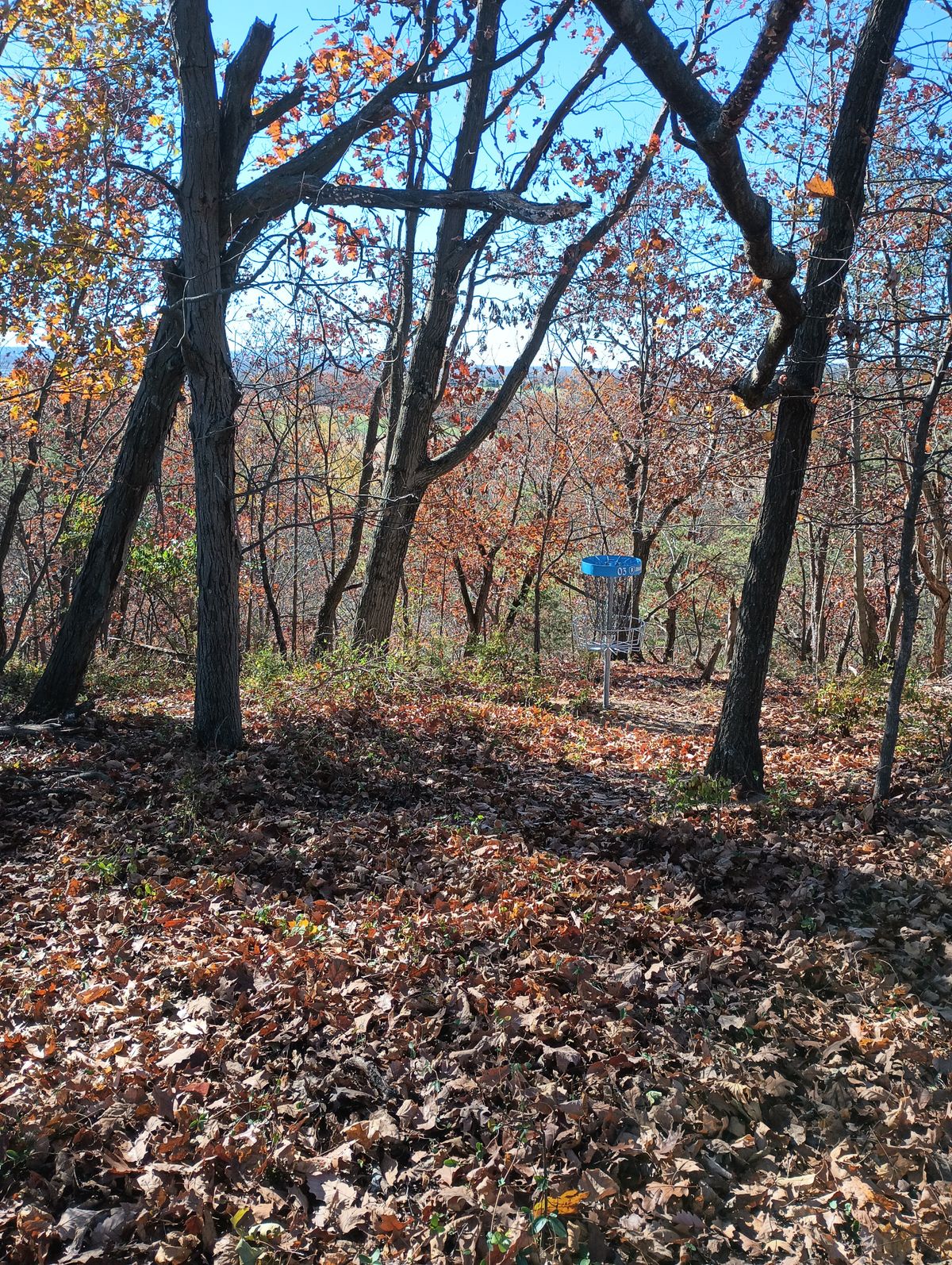 Forest Hills DiscGolfPark