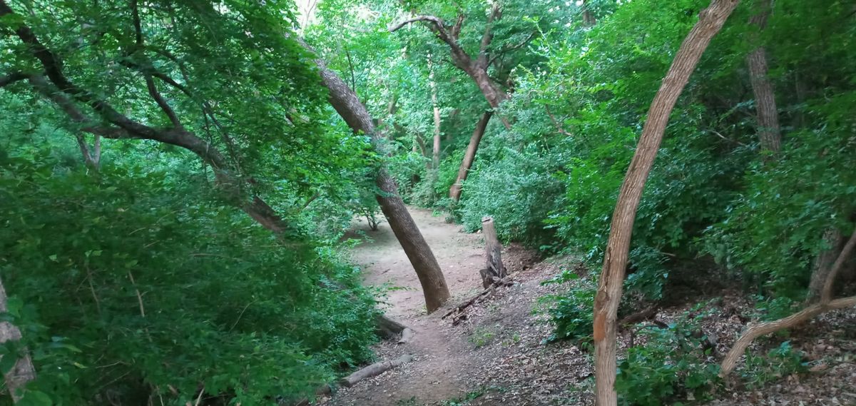 Hole 4 2021 Crestview Cup. 
Normally hole 9