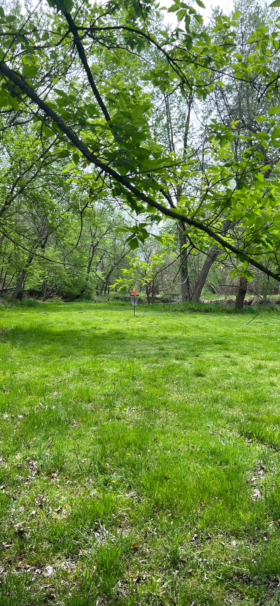 Hole 5