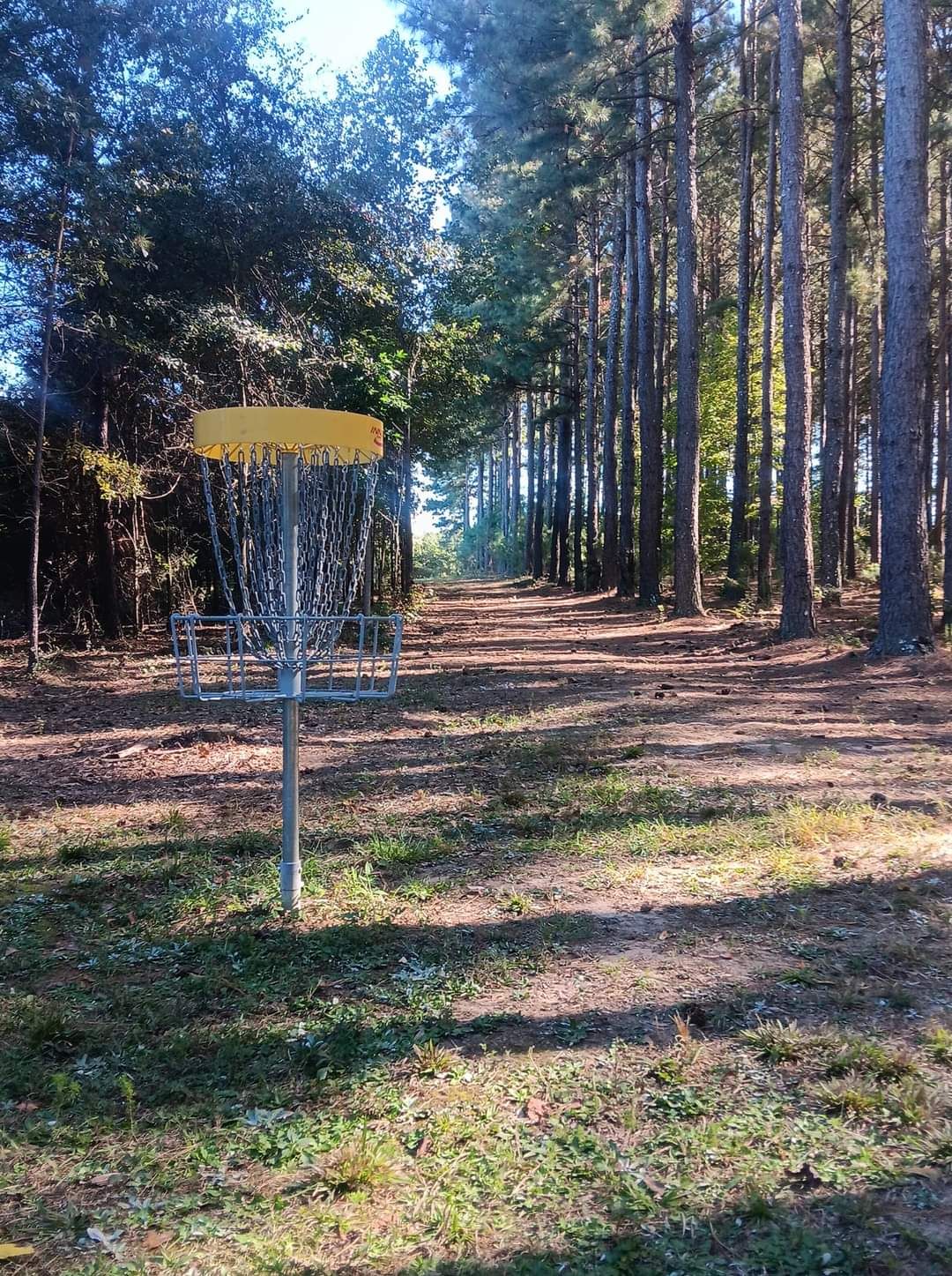 Hole 6 looking back up the fairway towards the tee.