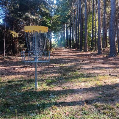 Hole 6 looking back up the fairway towards the tee.