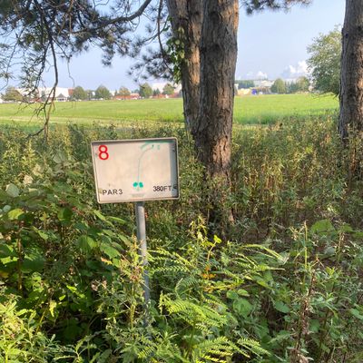 There are no tee pads, but Hole 8 goes above and beyond 🤣