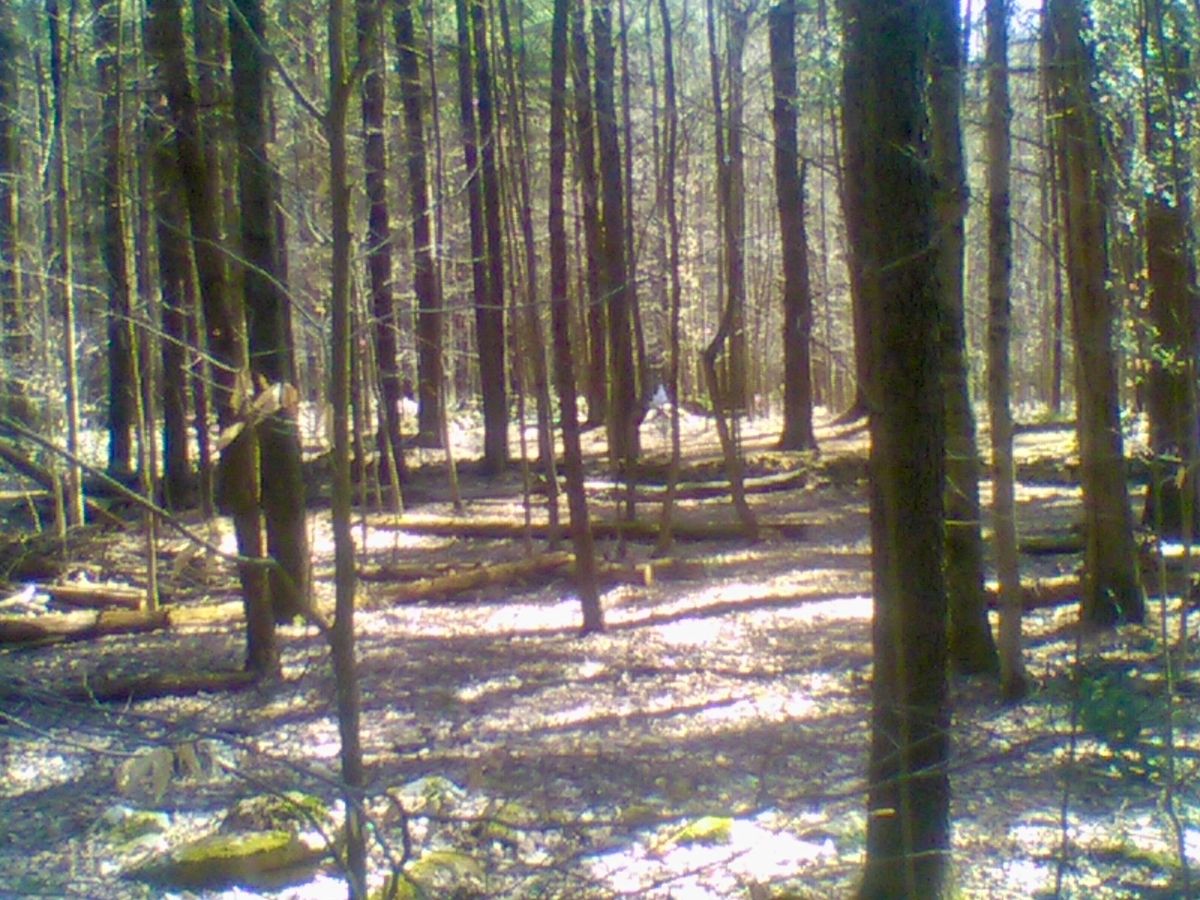 Hole 13