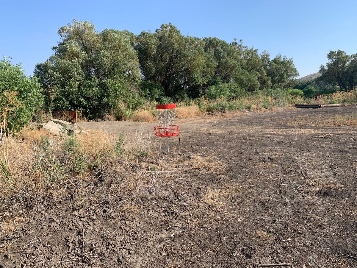 Hole 7.