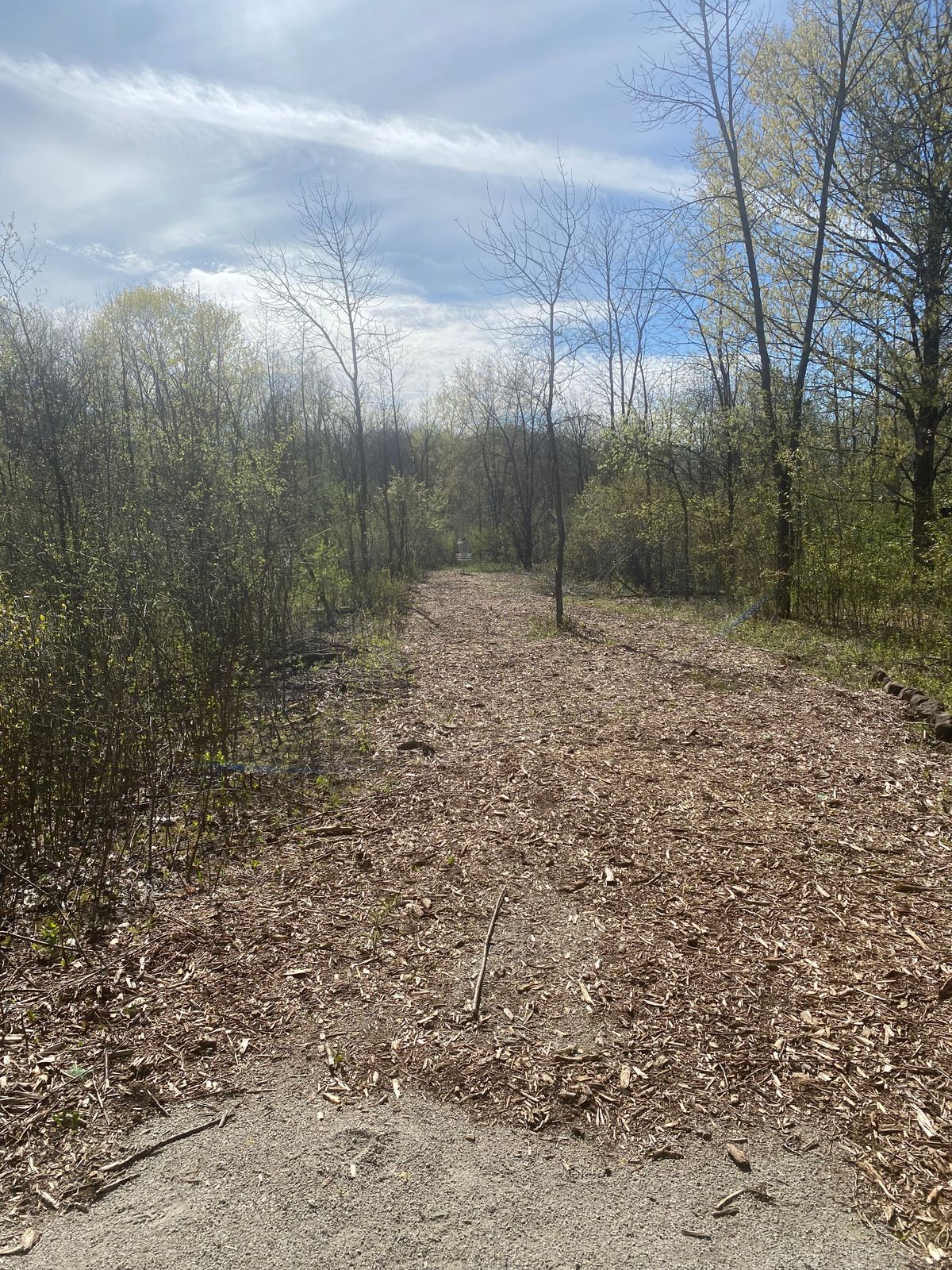 Hole 1 tee