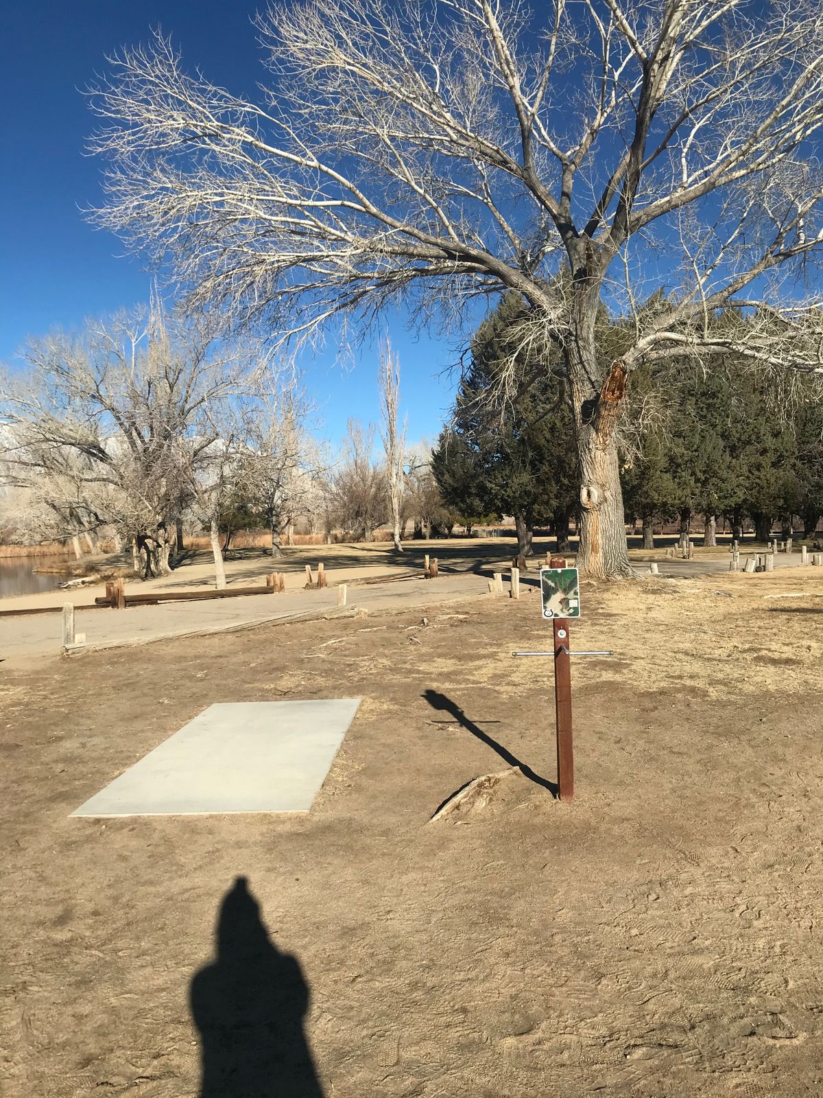Tee pad 8