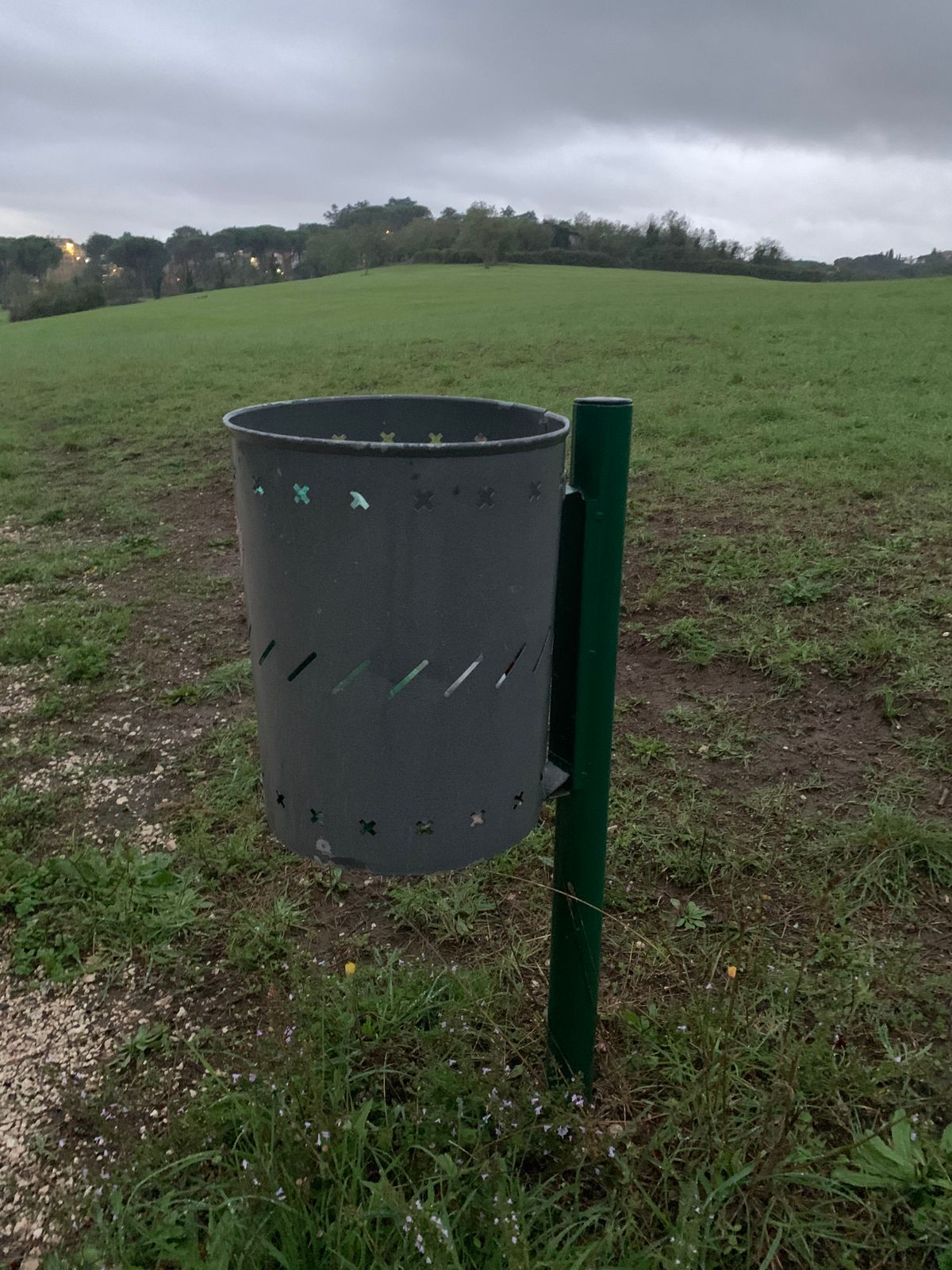 Typical basket
