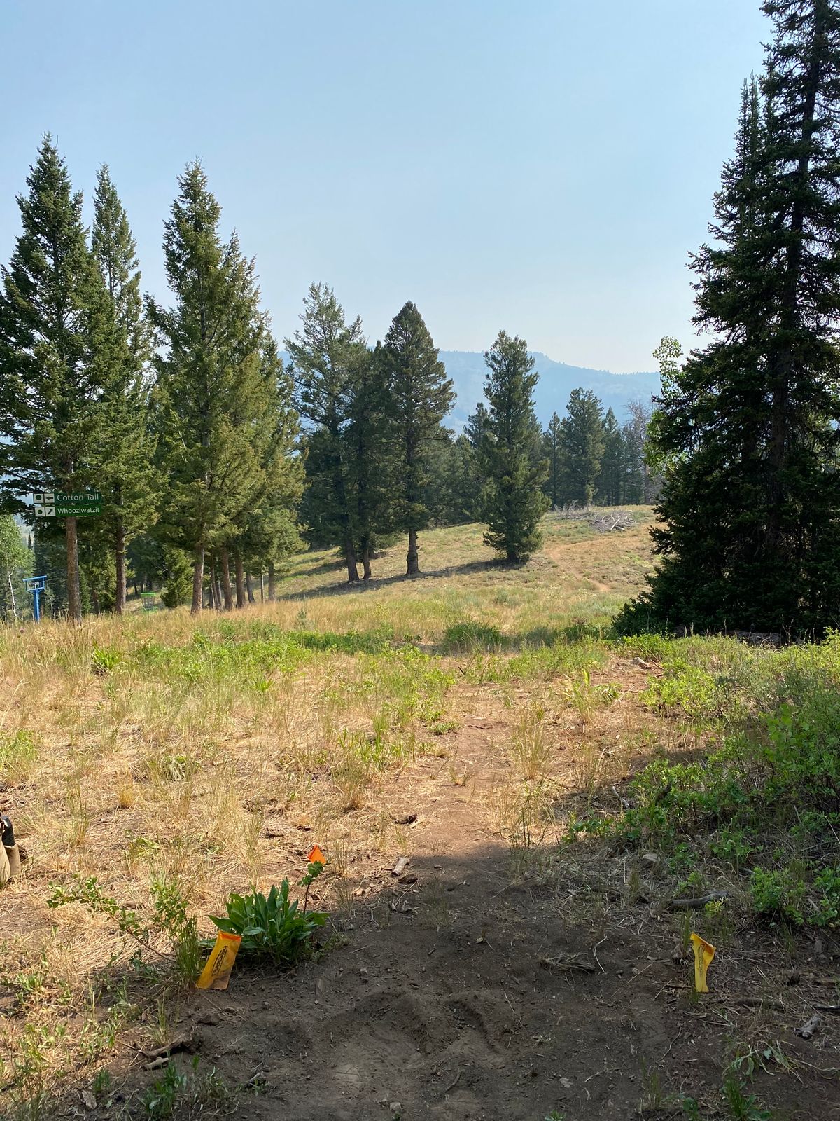 Hole 16