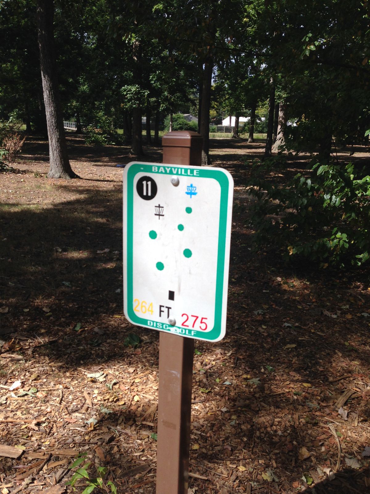 Hole 11