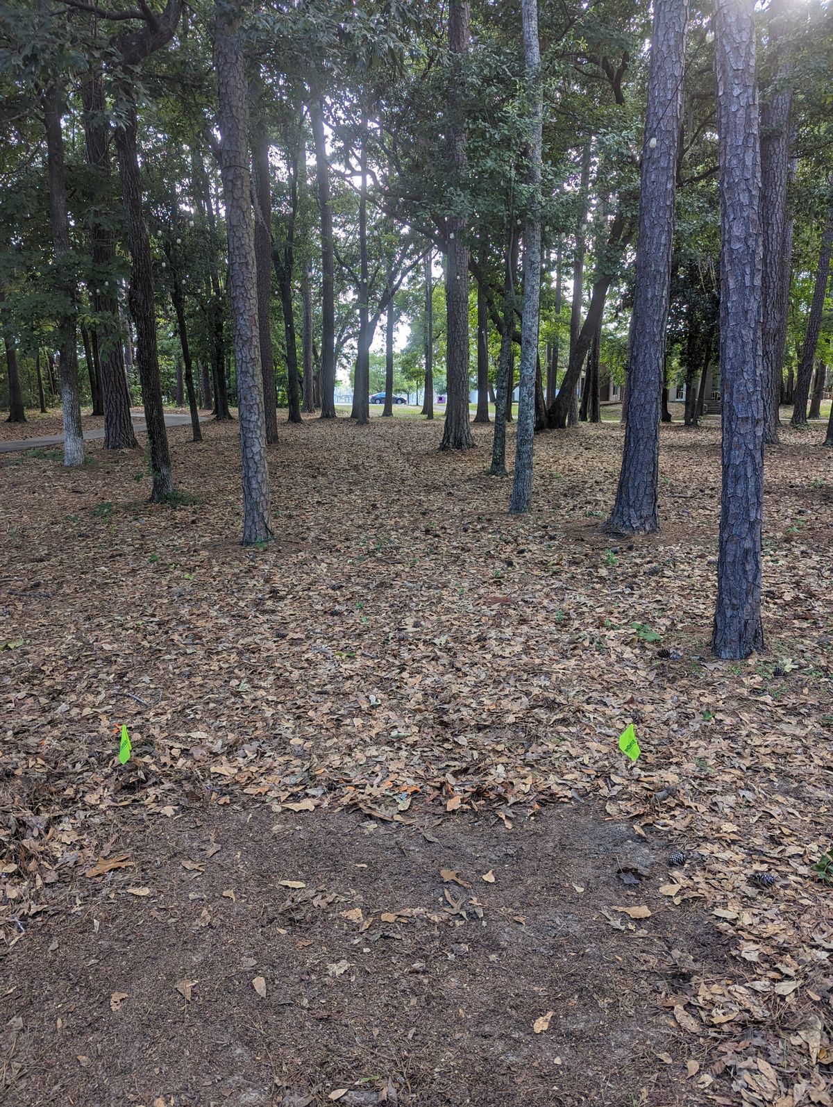 Hole 8