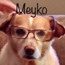 User avatar image