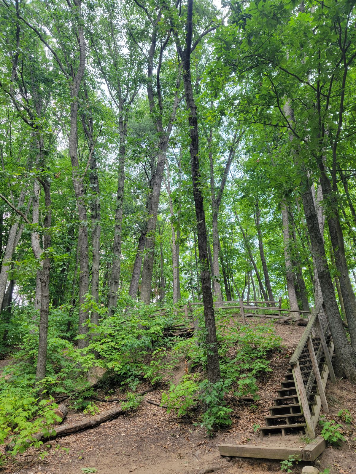 Stair day