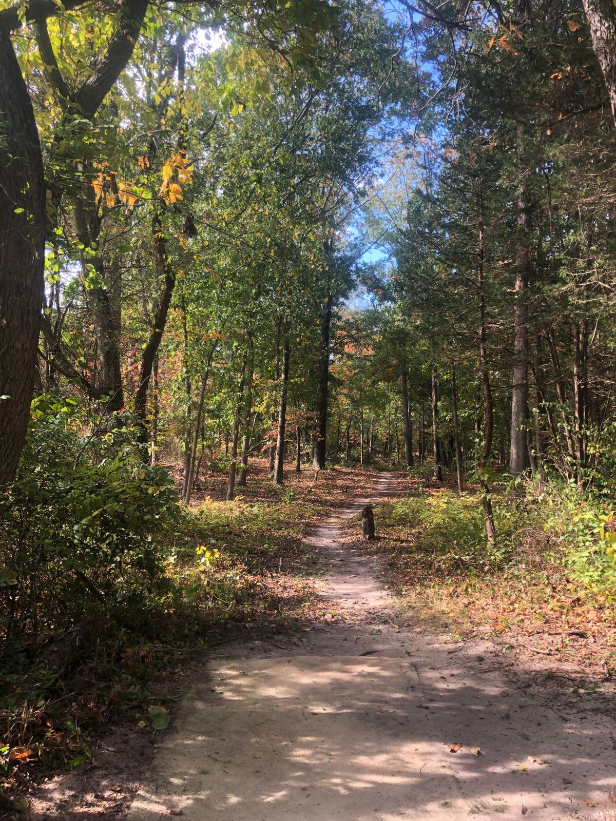 Hole 15 long tee Par 4