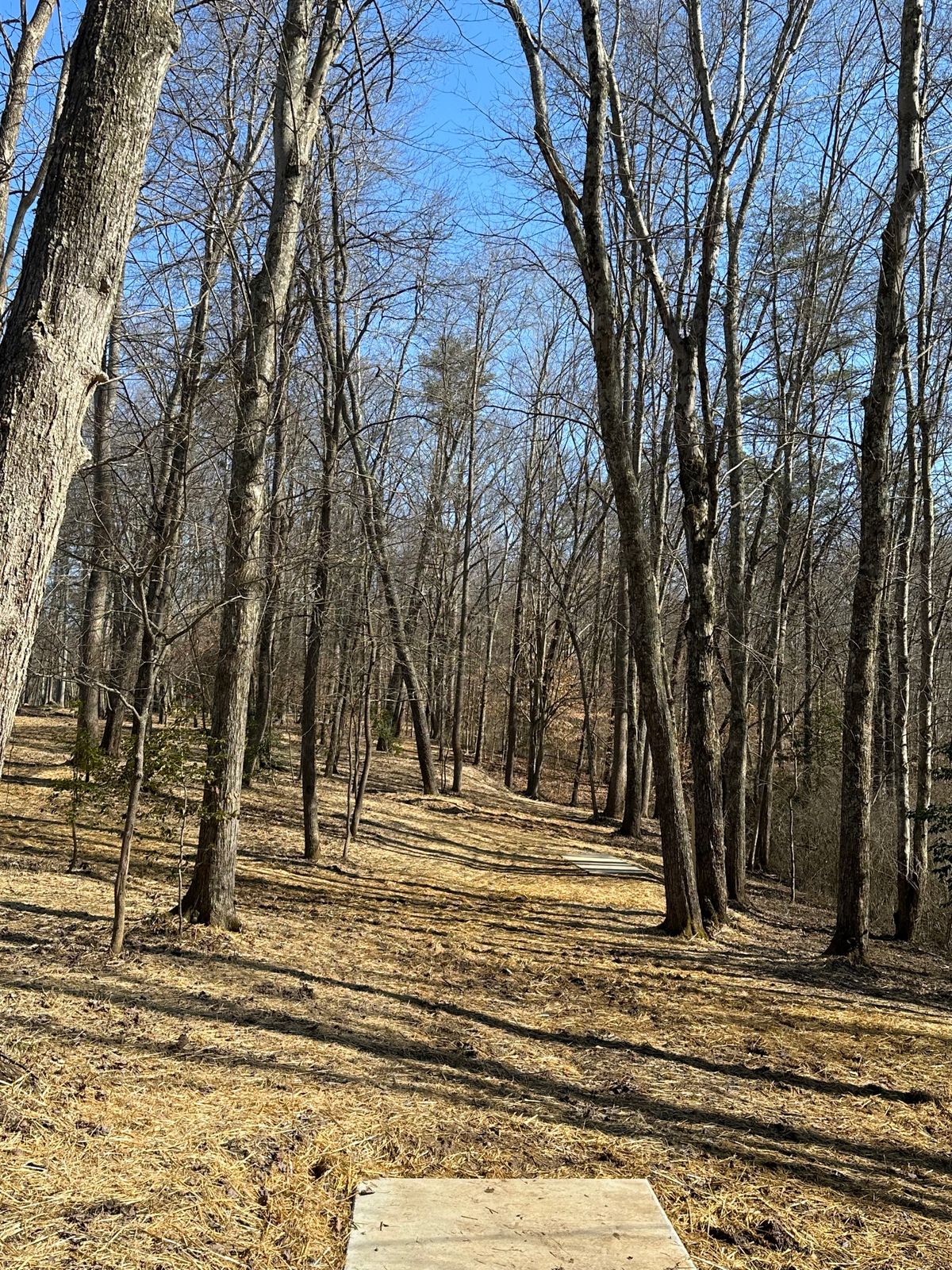 Hole 13 (White, Mando Right from White Tees)