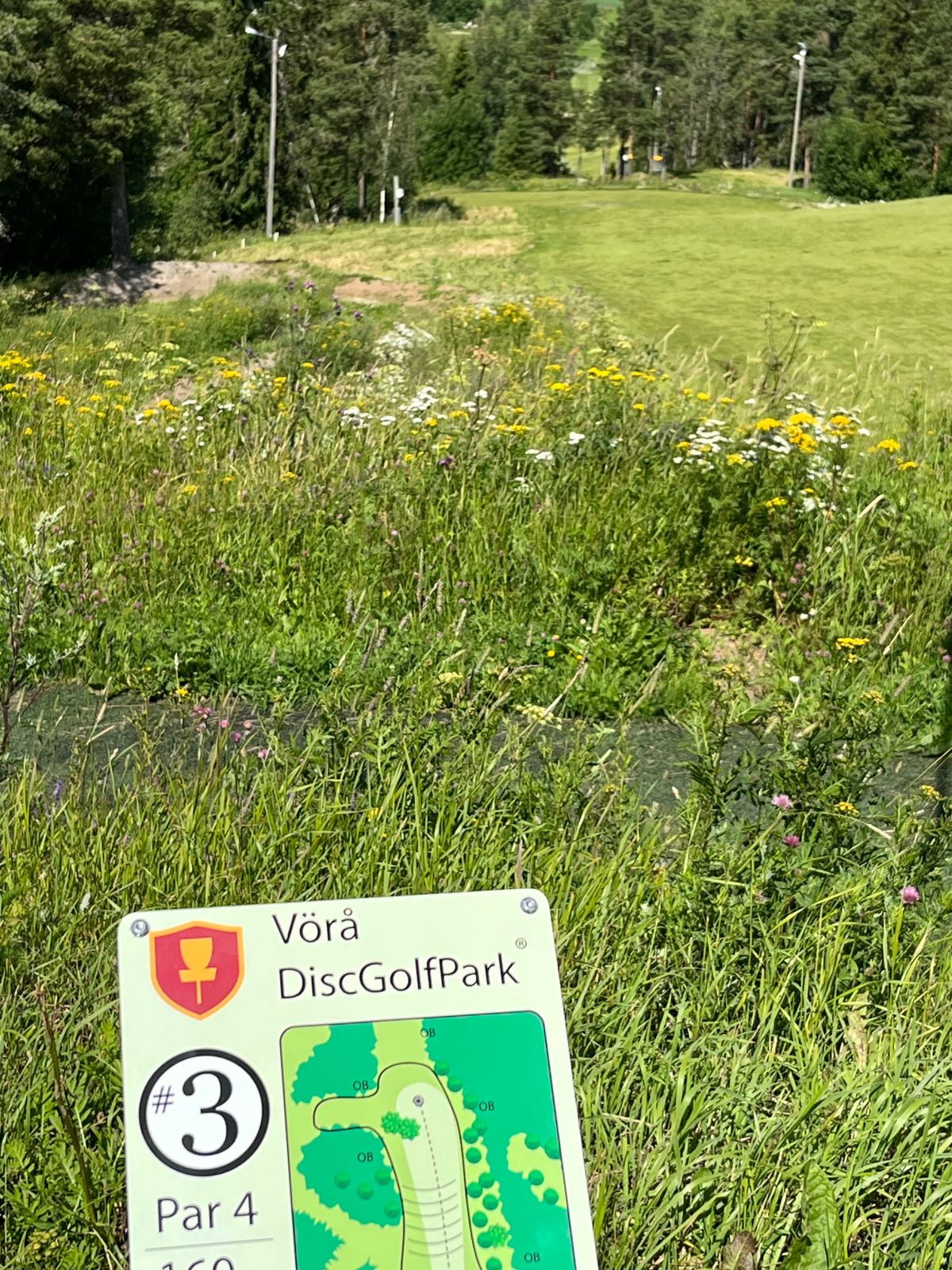 Hole 3 updated map